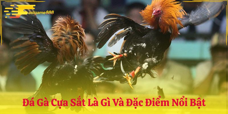 Đá gà cựa sắt Fastgame888 là gì và có gì đặc biệt?